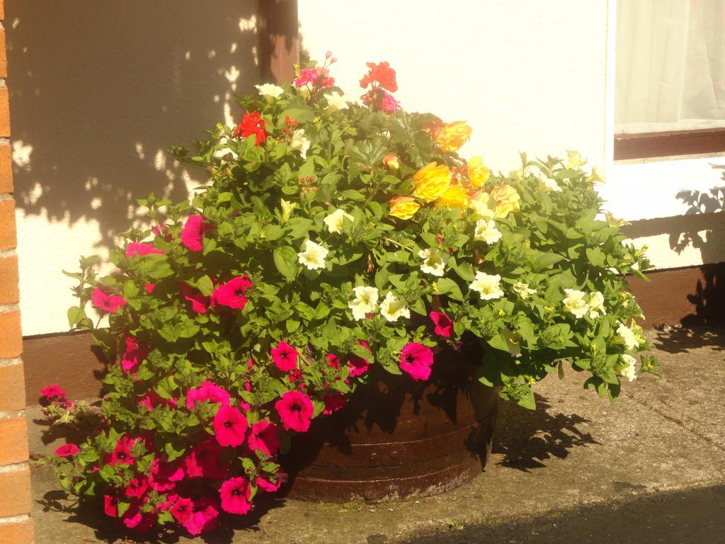 Orley House B&B Drogheda Dış mekan fotoğraf