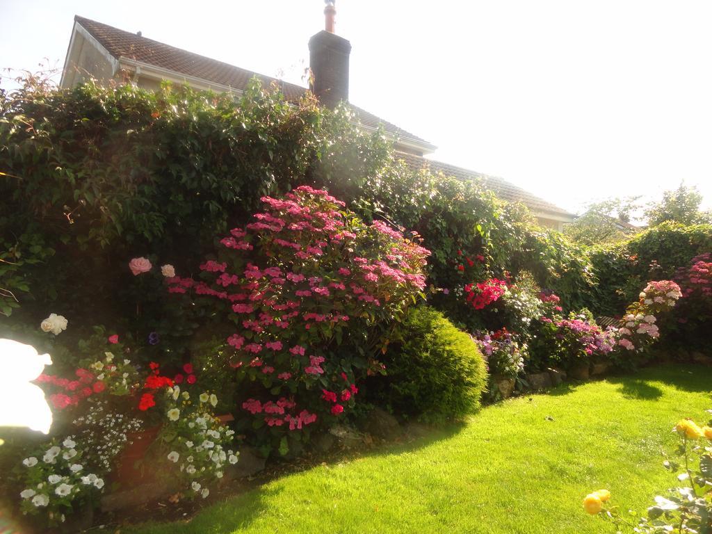 Orley House B&B Drogheda Dış mekan fotoğraf