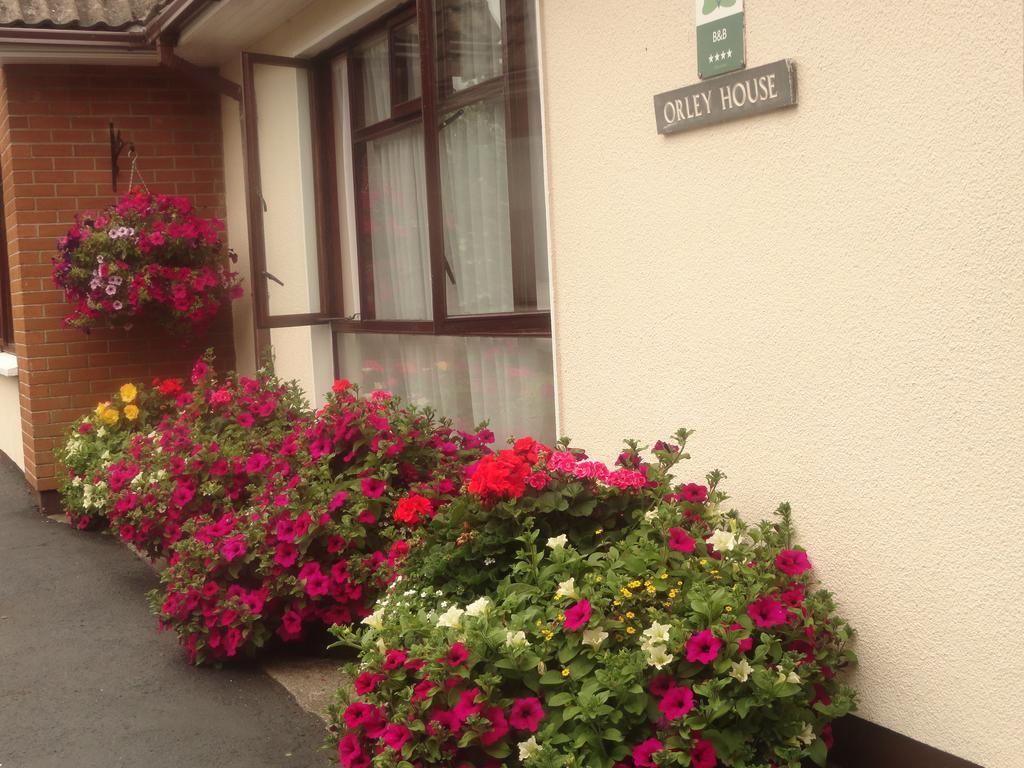 Orley House B&B Drogheda Dış mekan fotoğraf