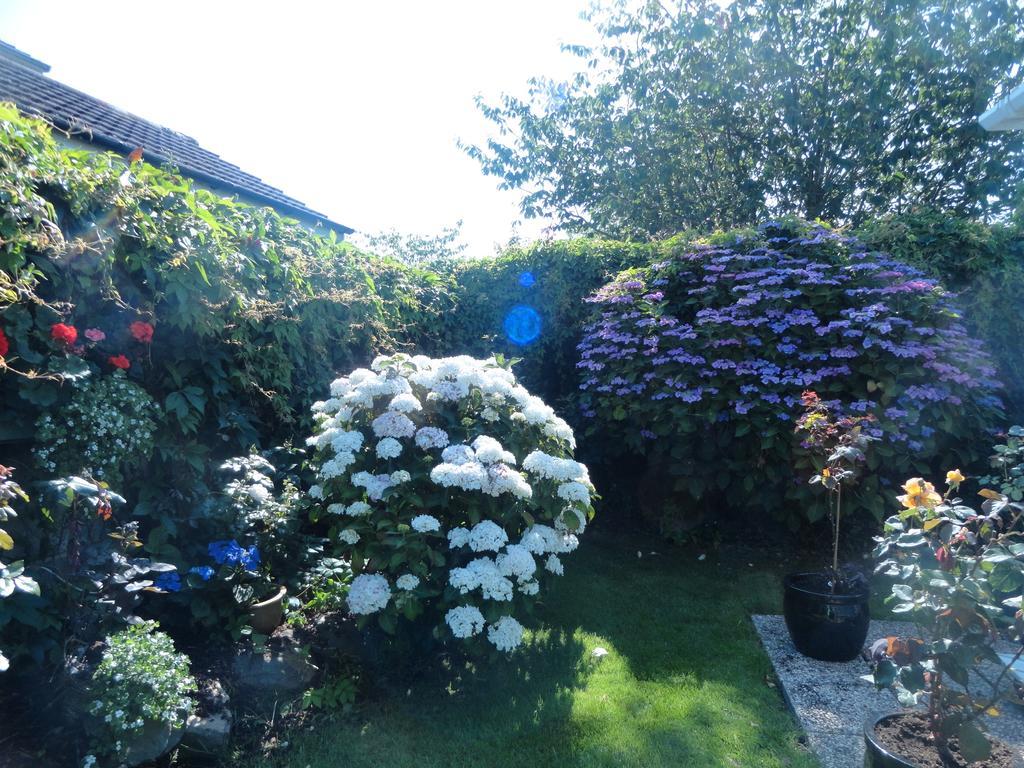 Orley House B&B Drogheda Dış mekan fotoğraf